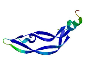 VEGFs collection image