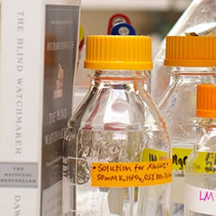 Collection image for: Special Offers