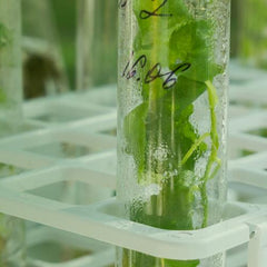 Collection image for: pSuperAgro®