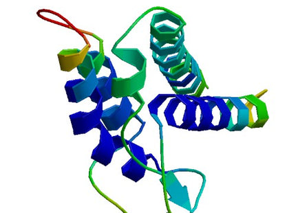 IL2 (Cys141Ser), Equine