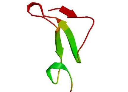 EPGN (Epigen), Human