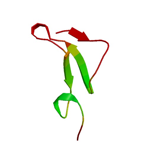 EPGN (Epigen), Human