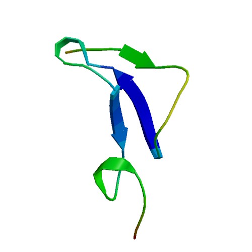 EREG (Epiregulin), Human