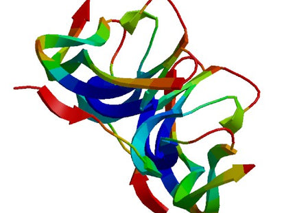 PDGFBB (dimer), Human