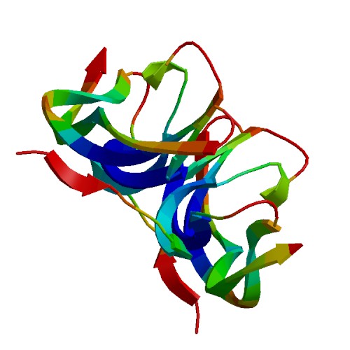 PDGFBB (dimer), Human