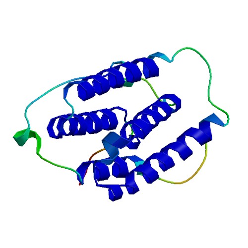 IFN-alpha2B (E. coli), Human