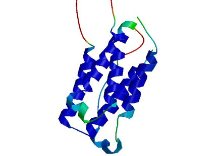 IFN-omega1, Human