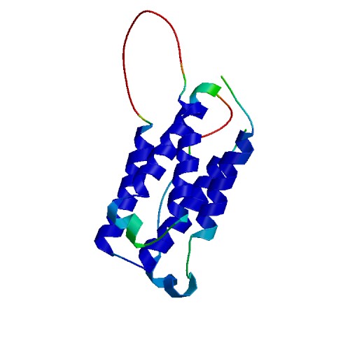 IFN-omega1, Human