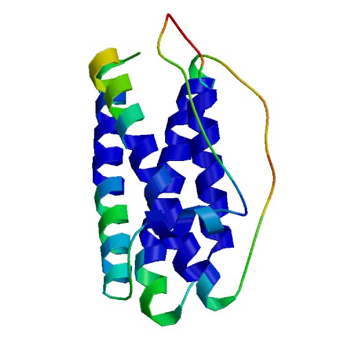 CSF3 (G-CSF), Murine