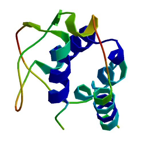 CSF2 (GM-CSF), Canine