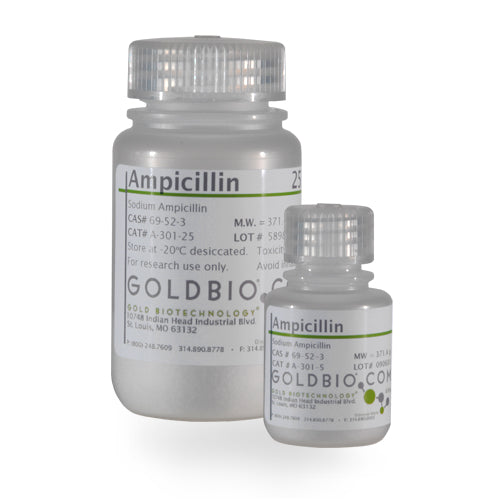 Ampicillin (Sodium) 100 mg/mL Solution