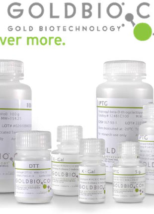 Bacterial Cell Lysis Buffer (Original Formulation)