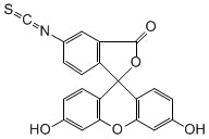 Fluorescein isothiocyanate Isomer I (FITC)