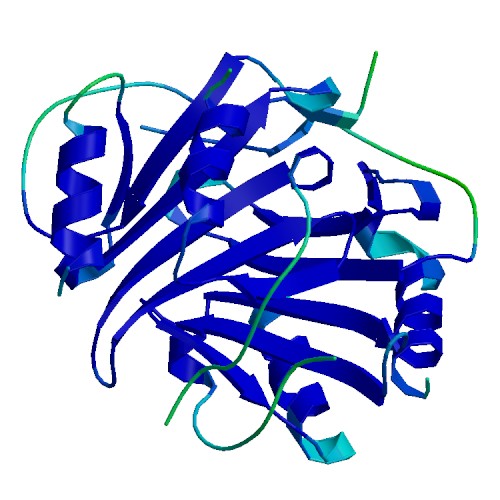 PF4 (CXCL4), Human