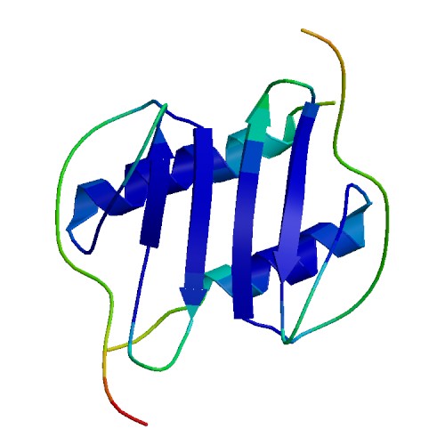 CXCL5 (8-78 a.a.), Human