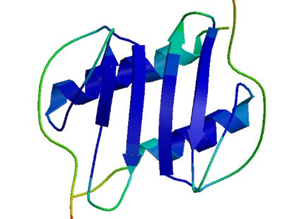 CXCL5 (5-78 a.a.), Human