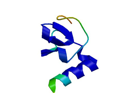 PPBP (CXCL7), Human