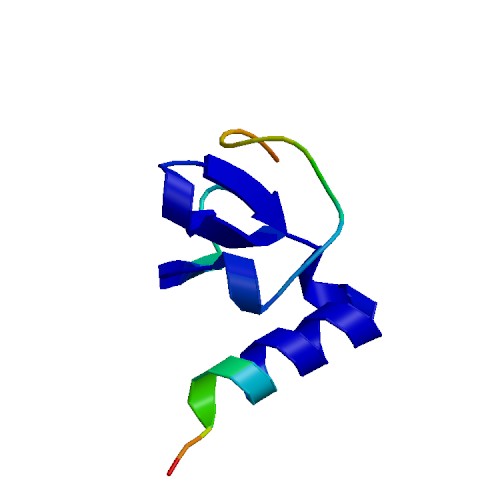 PPBP (CXCL7), Human