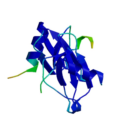 CCL14 (66 a.a.), Human