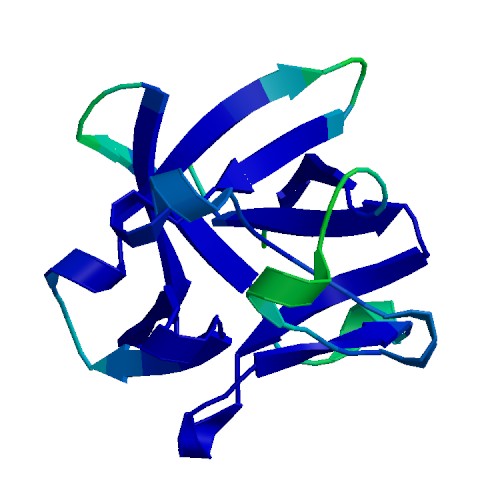 Acidic FGF (FGF1), Murine