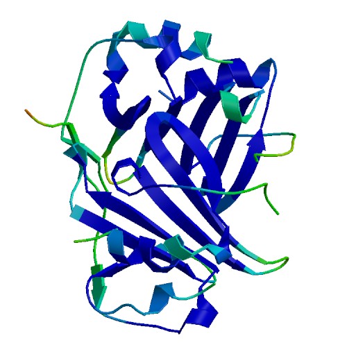CXCL10, Rhesus macaque
