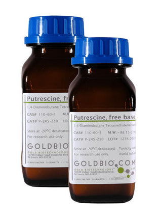 Putrescine, free base