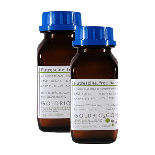 Putrescine, free base