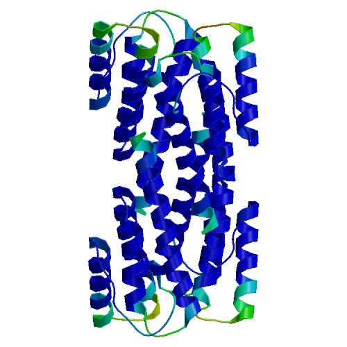 SAA1, Rhesus Macaque
