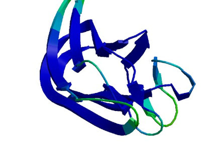 TNF-α (Variant), Human