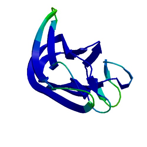 TNF-α (Variant), Human