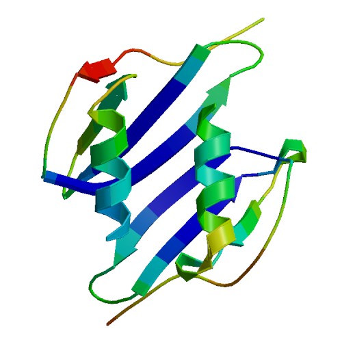 CXCL1, Murine