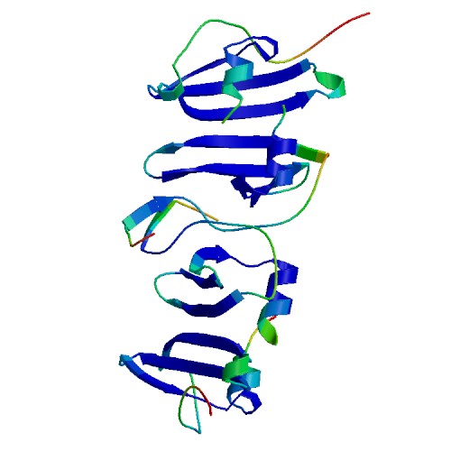 CXCL10, Murine