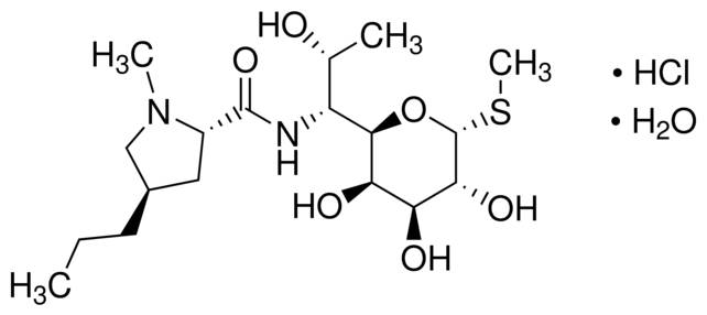 Lincomycin HCl, USP Grade