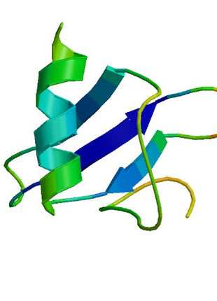CCL21, Murine