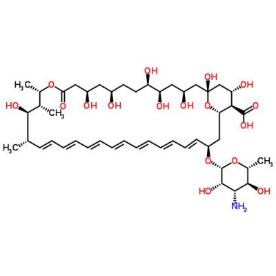 Amphotericin B, Solubilized