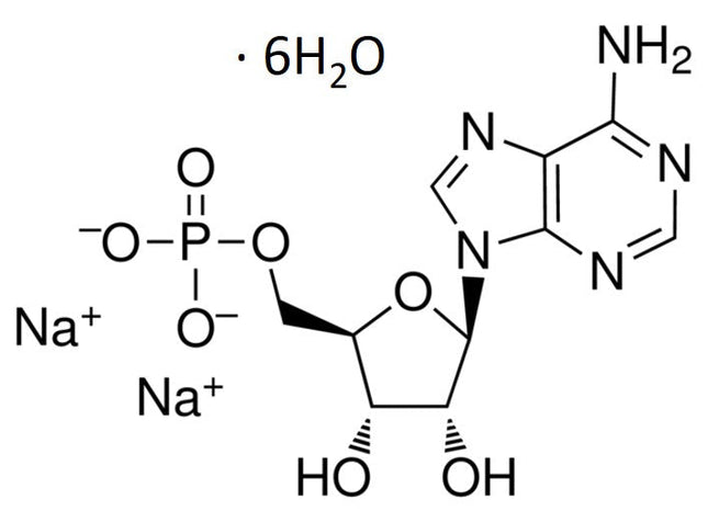 Adenosine-5'-Monophosphate (AMP), Disodium hexahydrate, Ultra Pure