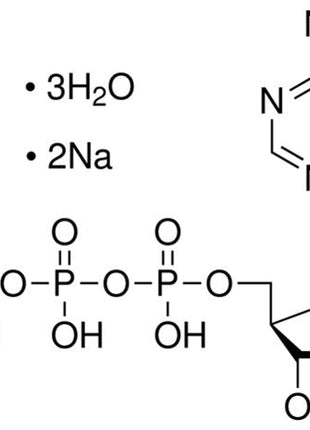 Adenosine-5'-Triphosphate (ATP), Disodium trihydrate, Ultra Pure
