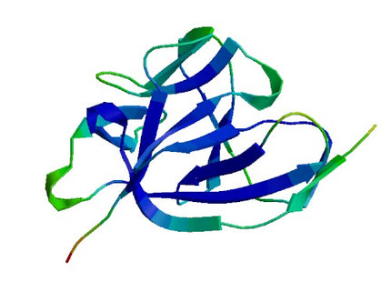 IL1A (IL-1 alpha), Human