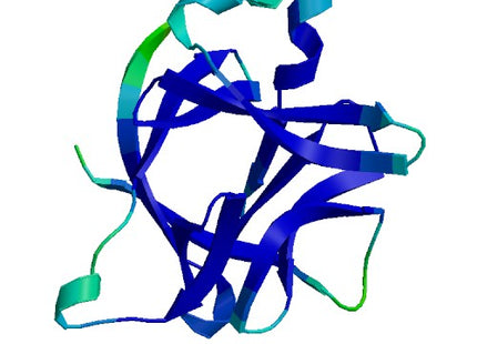 IL1RN (IL-1RA), Human