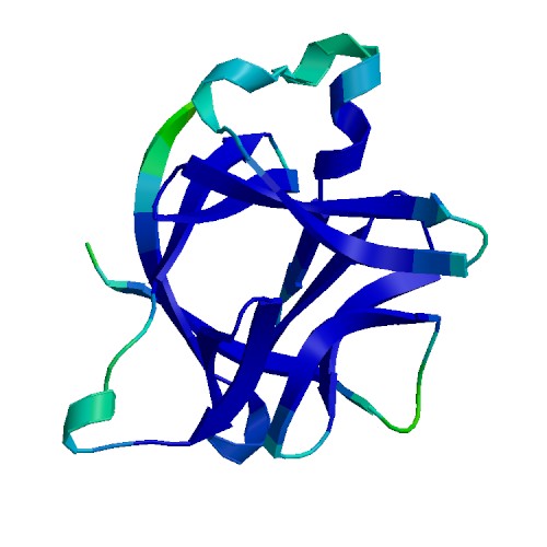 IL1RN (IL-1RA), Human