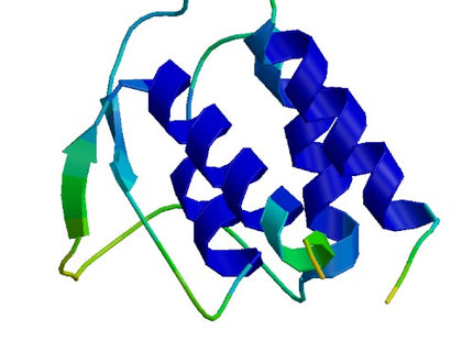 IL13, Human (Variant)