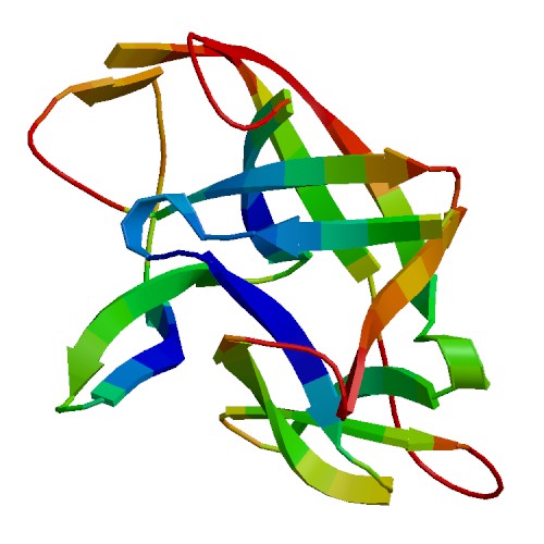 IL36A (IL-36 alpha), Human (158 a.a.)
