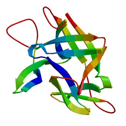 IL36A (IL-36 alpha), Human (153 a.a.)