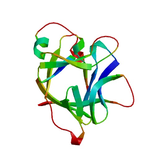 IL36B (IL-36 beta), Human (157 a.a.)