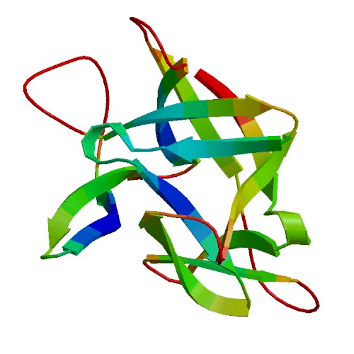 IL36G (IL-36 gamma), Human (169 a.a.)