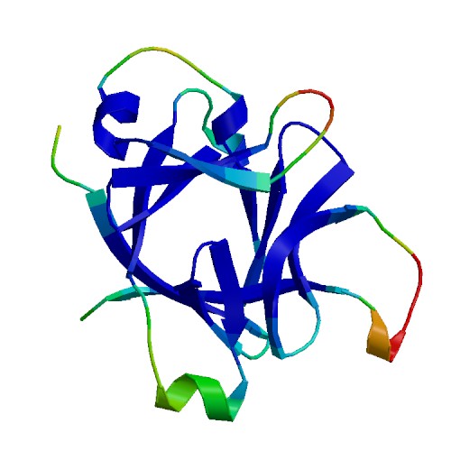 IL36RN (IL-36RA), Human