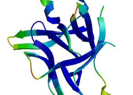 IL1RN (IL-1RA), Murine