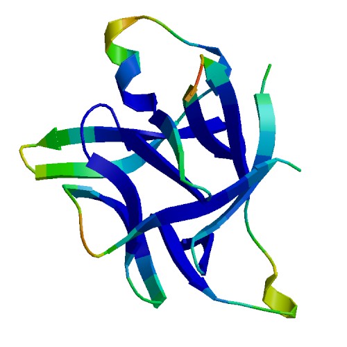 IL1RN (IL-1RA), Murine