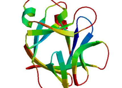 IL36A (IL-36 alpha), Murine (160 a.a.)