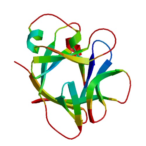 IL36A (IL-36 alpha), Murine (153 a.a.)
